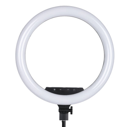 Photo Studio lighting 18inch