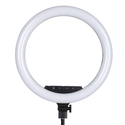 Photo Studio lighting 18inch