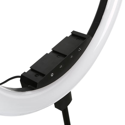 Photo Studio lighting 18inch